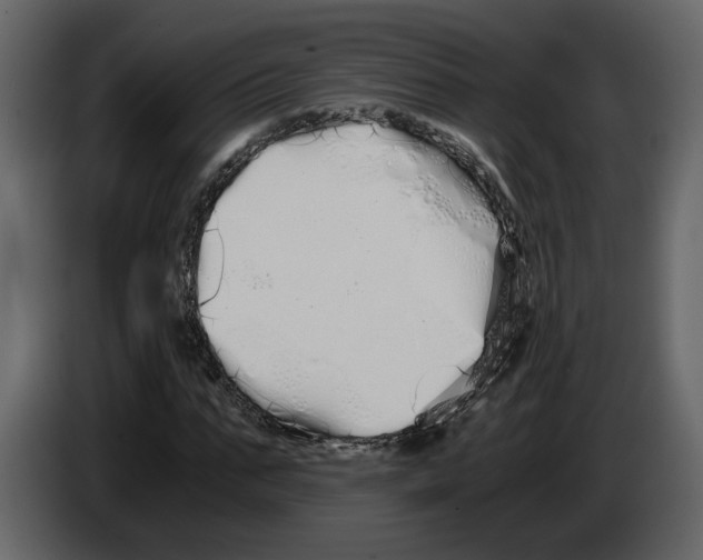 X0000084550871200703231734