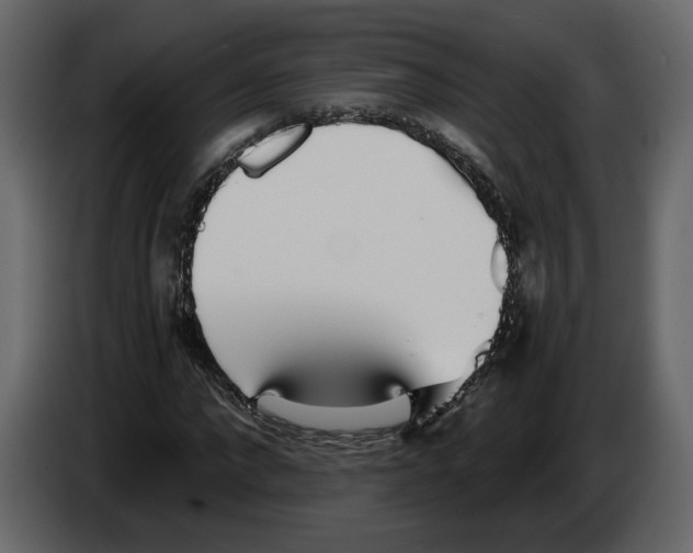 X0000084550872200703231734