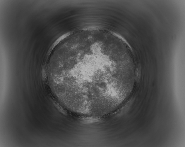 X0000084550874200703231734