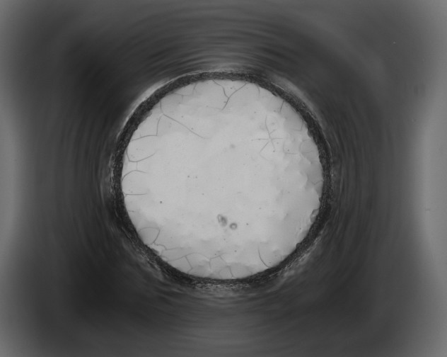 X0000084550875200703231734