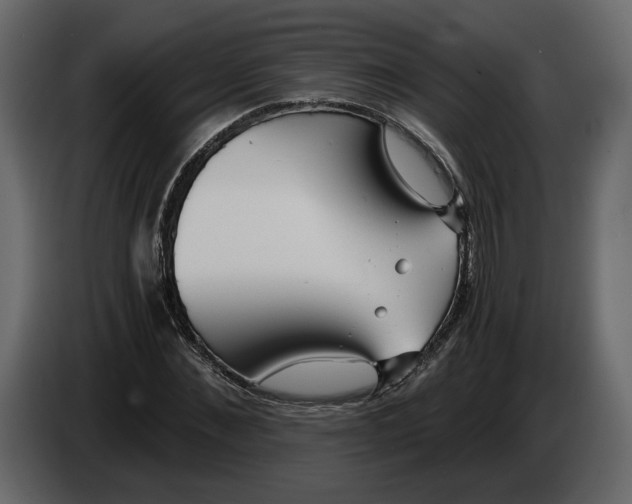 X0000084550876200703231734