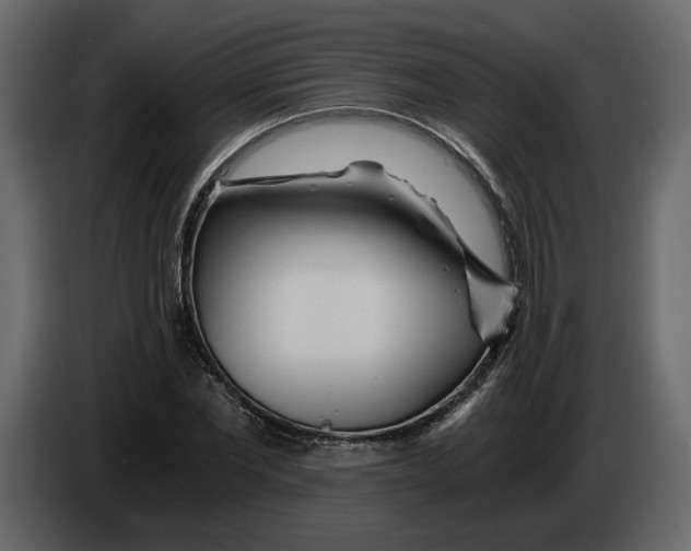 X0000084550877200703231734