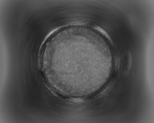 X0000084550878200703231734