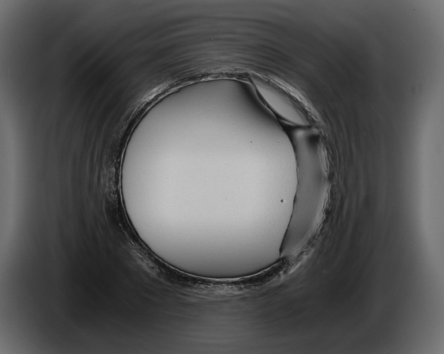 X0000084550881200703231734