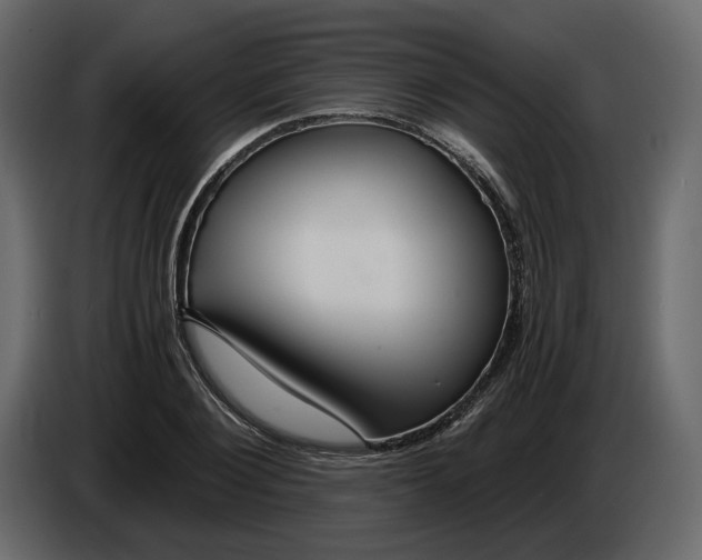 X0000084550884200703231734