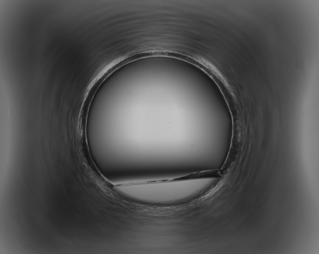 X0000084550885200703231734