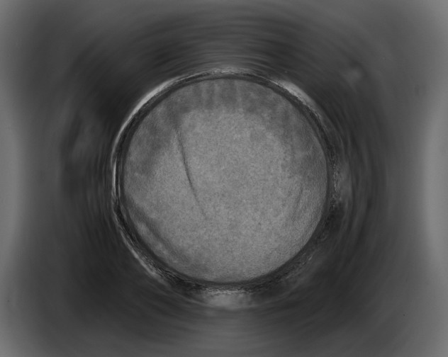 X0000084550886200703231734