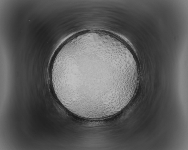 X0000084550887200703231734