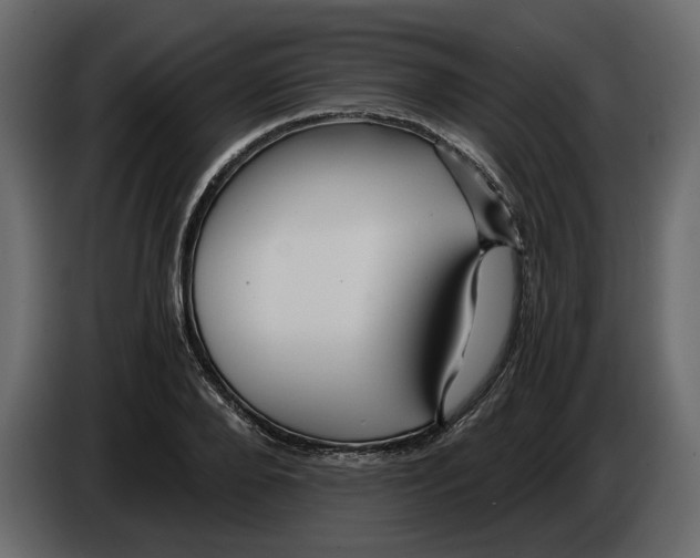 X0000084550888200703231734