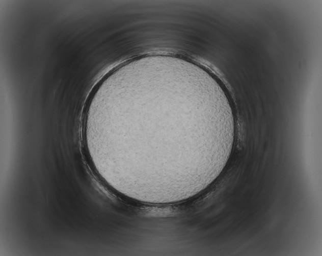 X0000084550890200703231734