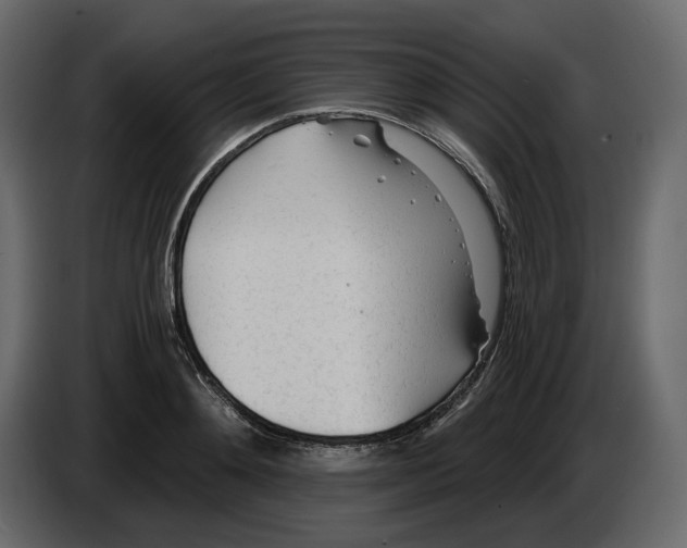 X0000084550892200703231734