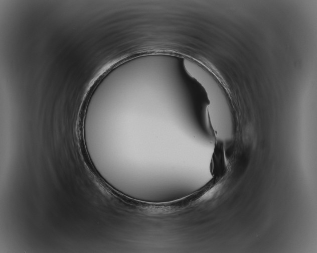 X0000084550893200703231734