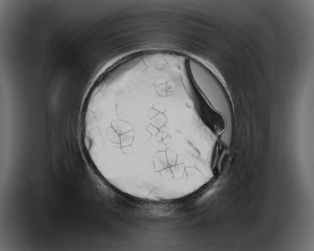 X0000084550895200703231734