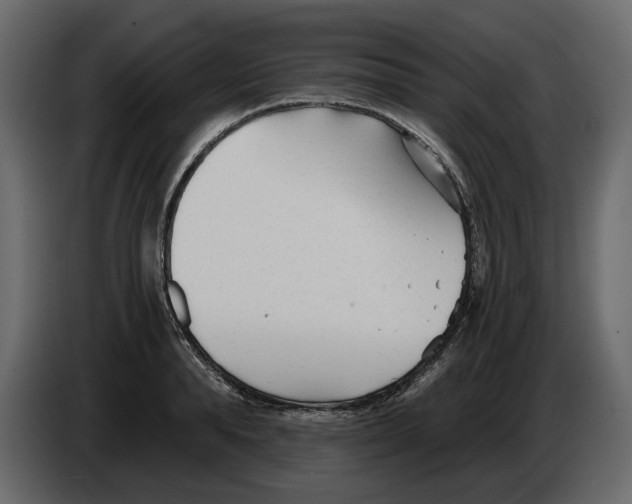 X0000084550896200703231734