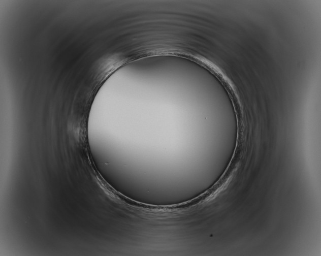 X0000084550897200703231734