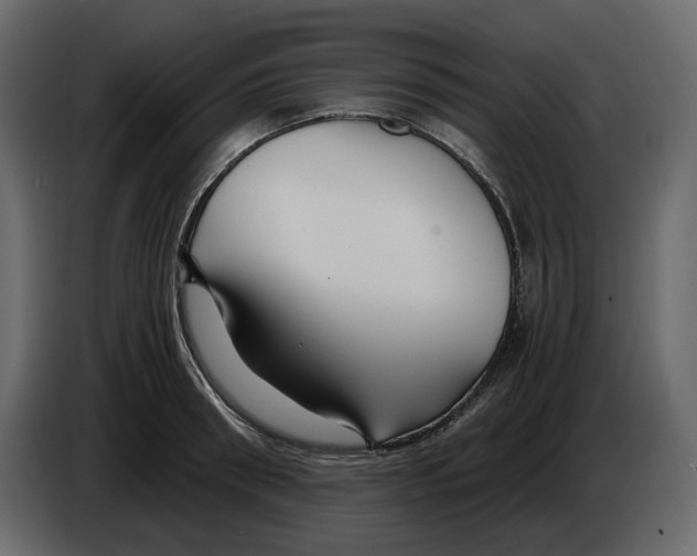 X0000084550898200703231734