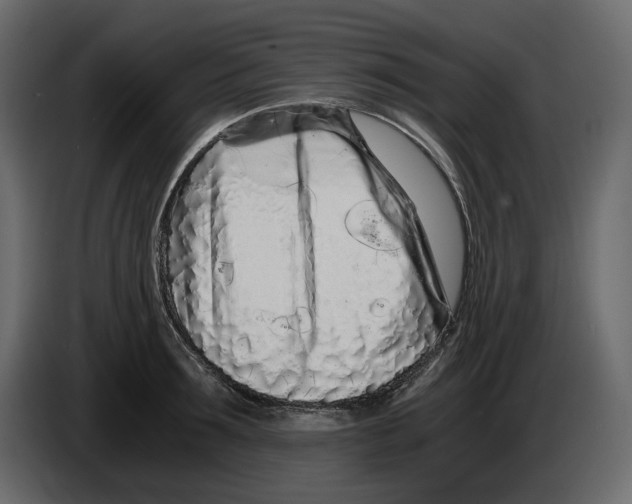 X0000084550899200703231734