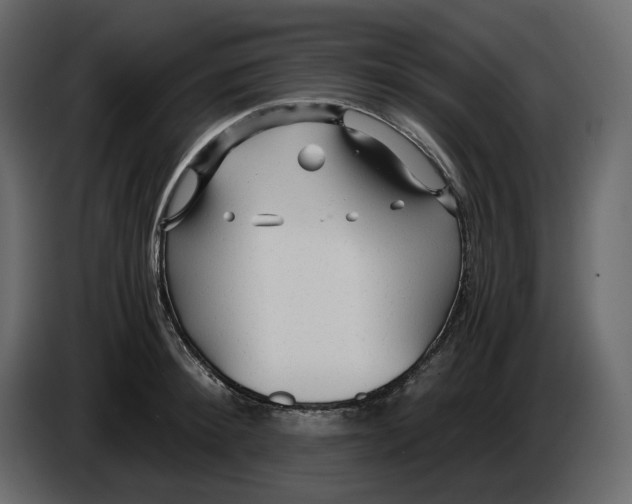 X0000084550900200703231734