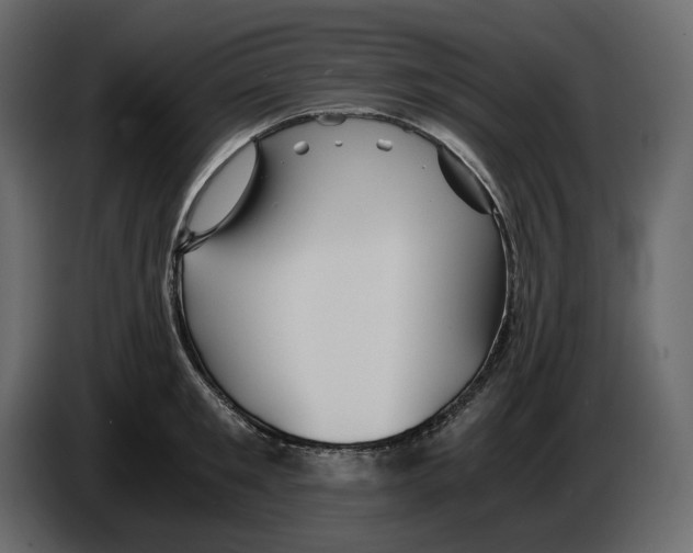 X0000084550901200703231734