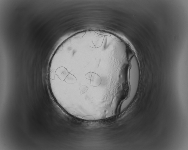 X0000084550903200703231734