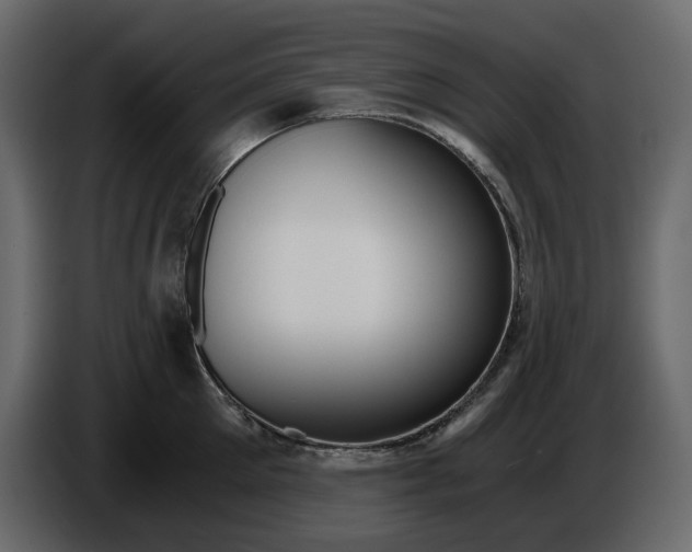 X0000084550905200703231734