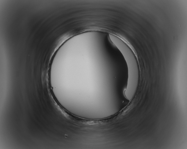 X0000084550906200703231734