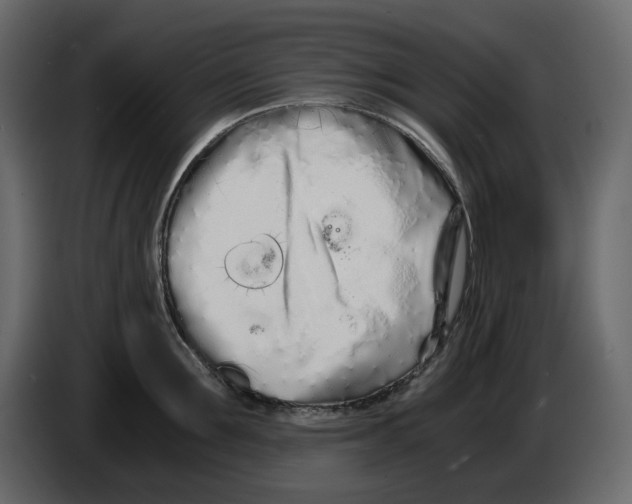 X0000084550907200703231734