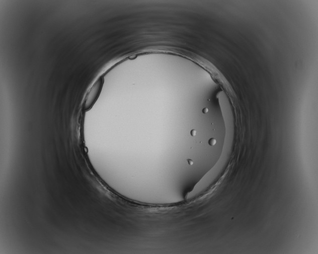 X0000084550908200703231734