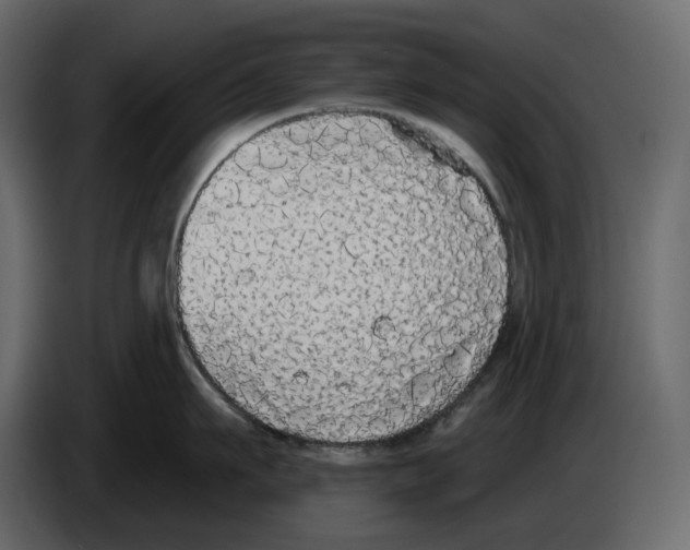 X0000084550911200703231733