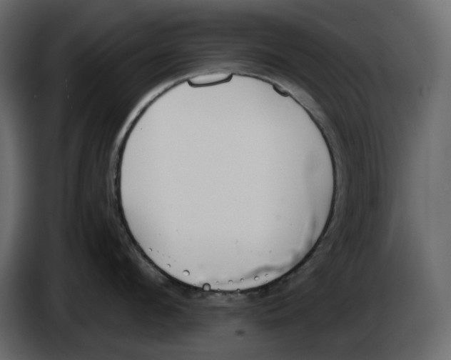 X0000084550912200703231733