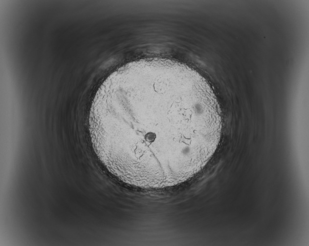 X0000084550913200703231733