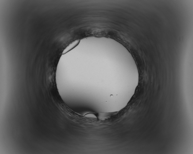 X0000084550914200703231733