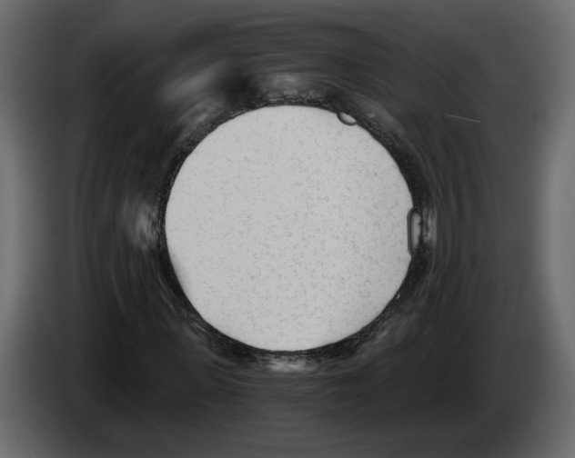 X0000084550915200703231733