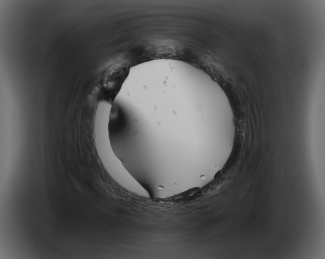 X0000084550916200703231733