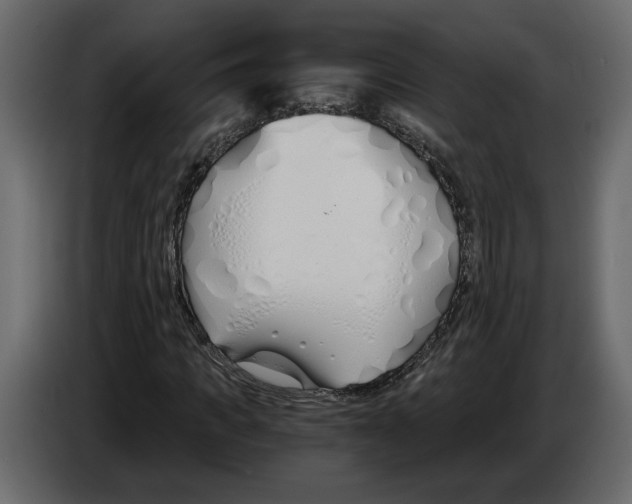 X0000084550917200703231733