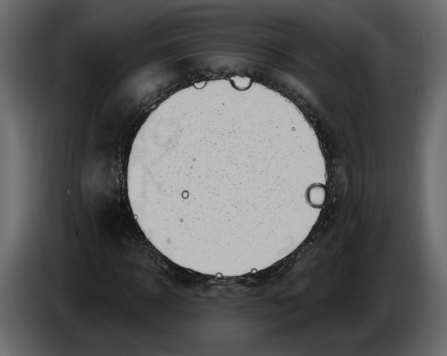 X0000084550918200703231733