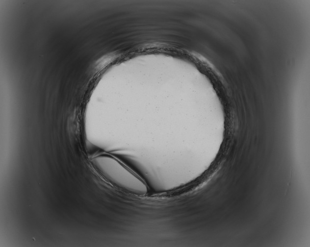 X0000084550921200703231733