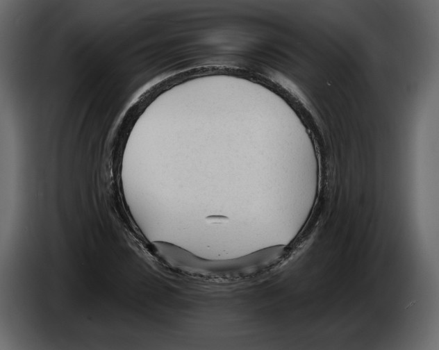 X0000084550923200703231733