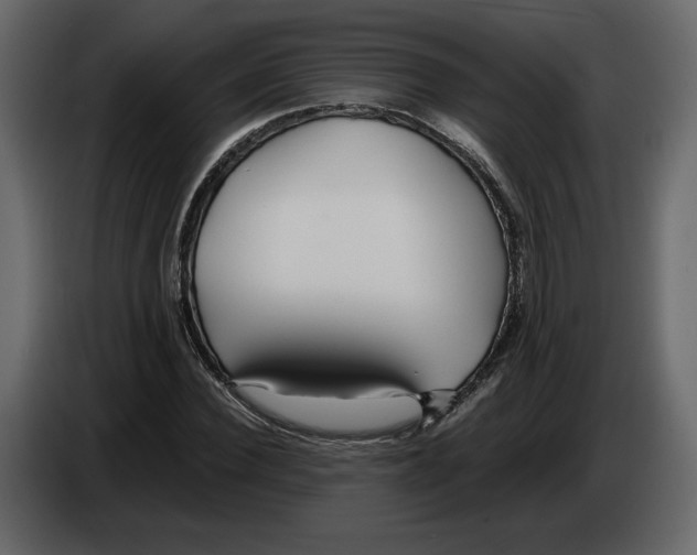 X0000084550924200703231733