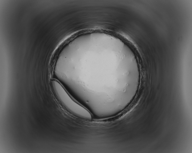 X0000084550925200703231733