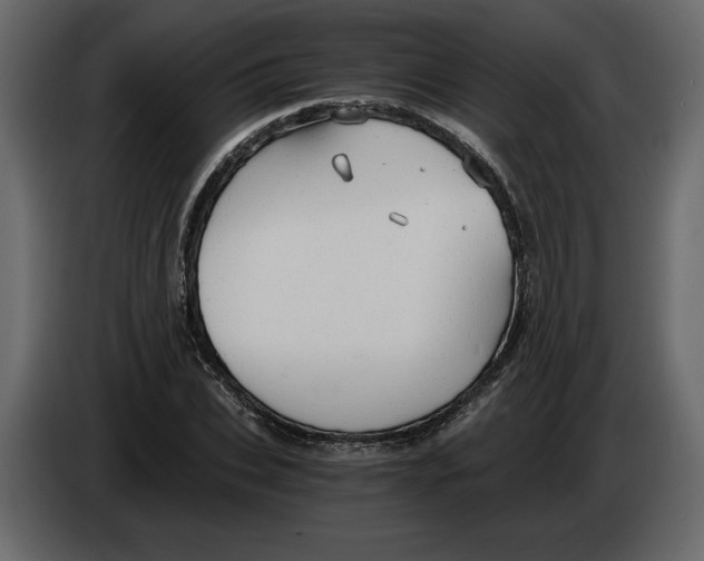 X0000084550927200703231733