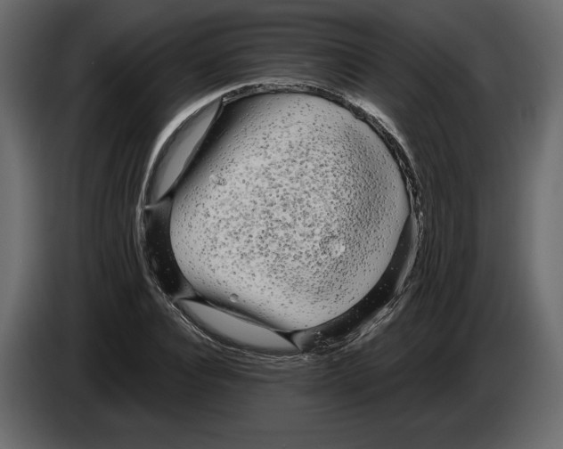 X0000084550928200703231733