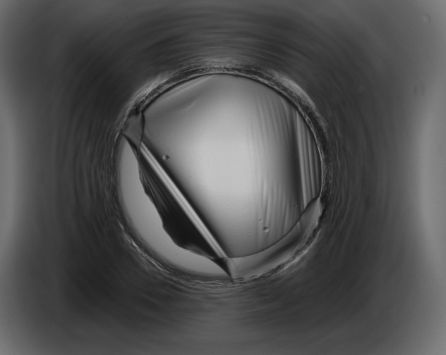 X0000084550930200703231733