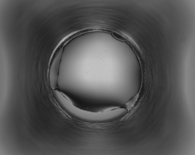 X0000084550932200703231733