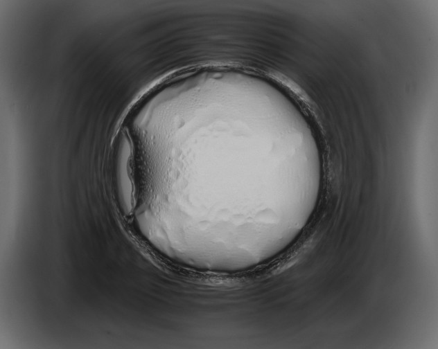 X0000084550933200703231733