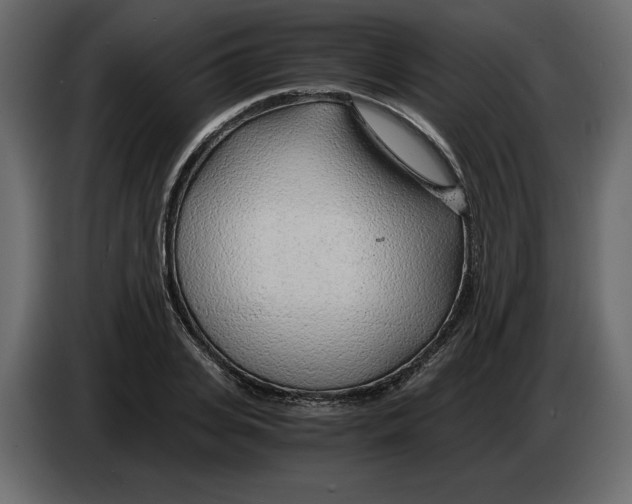 X0000084550935200703231733