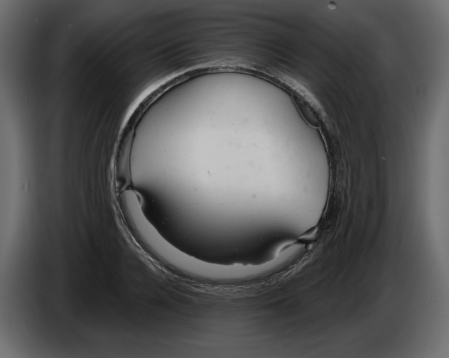 X0000084550936200703231733