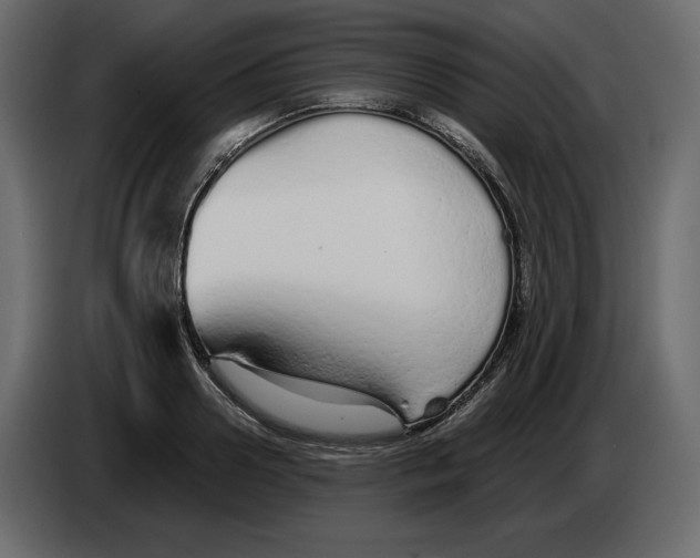 X0000084550938200703231733