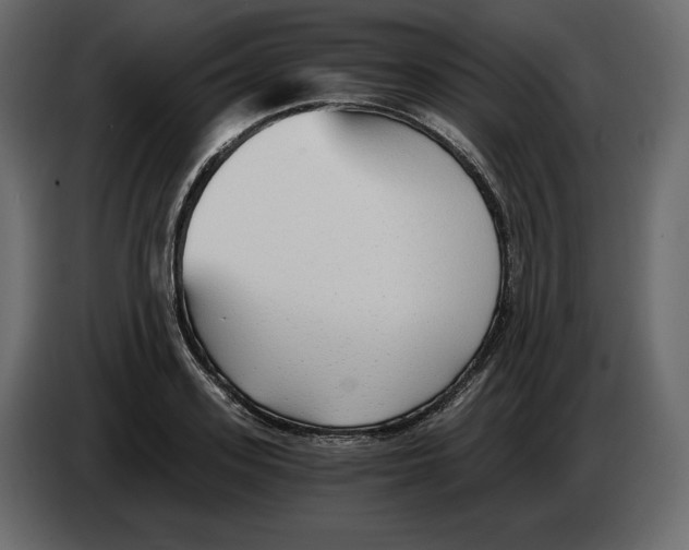 X0000084550939200703231733