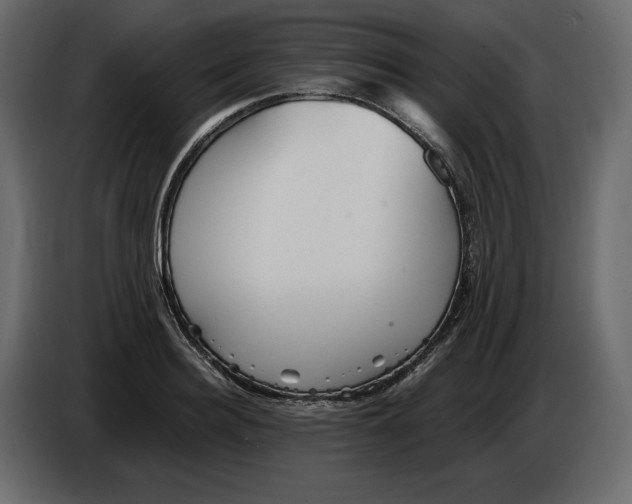 X0000084550940200703231733